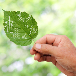 Hand holding a green leaf